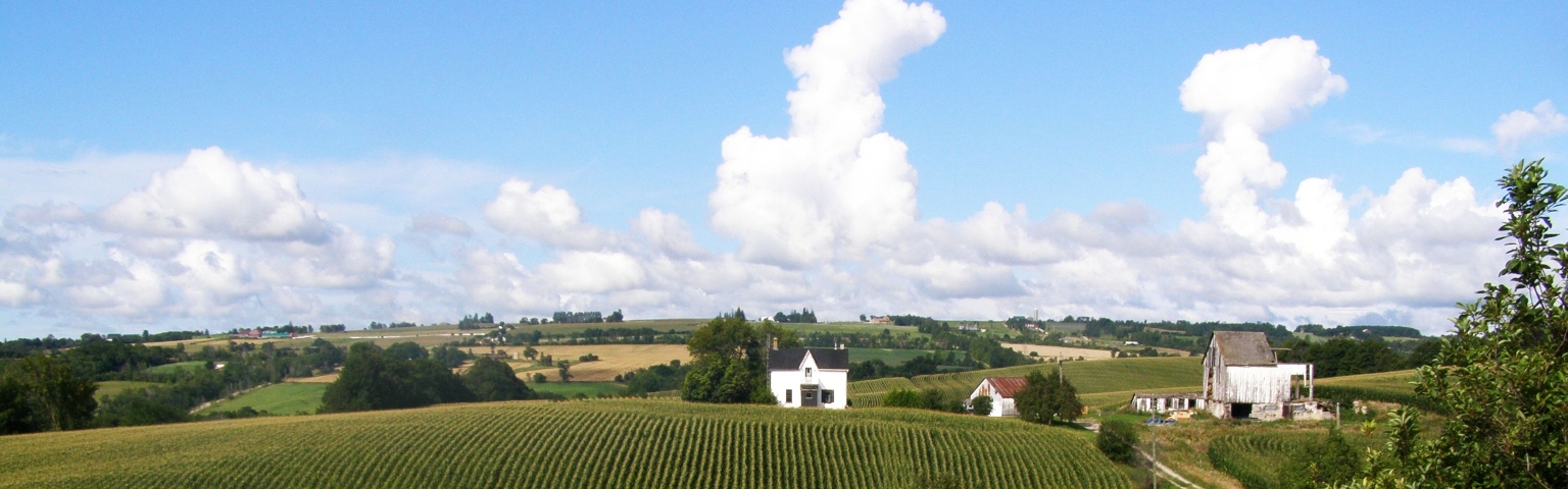 View of Farmland
