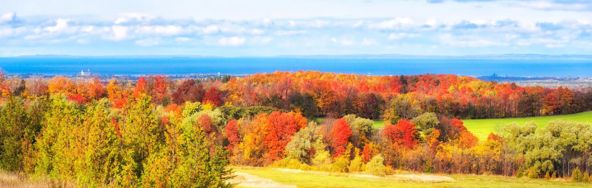 Clearview Fall View