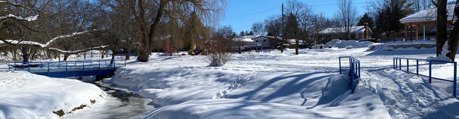 Centennial Park - Winter