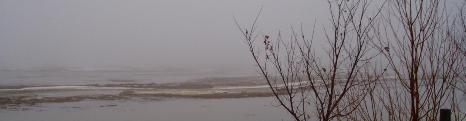 Flooding in East Creemore north of Edward Street