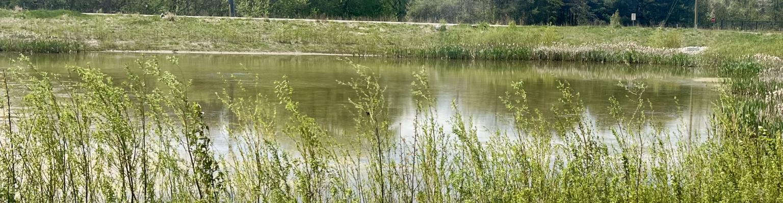 Nottawasaga Station Subdivision Stormwater Pond