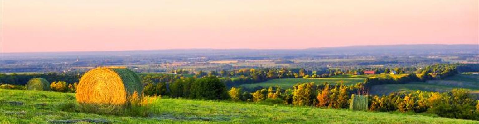 Climate Action Advisory Committee