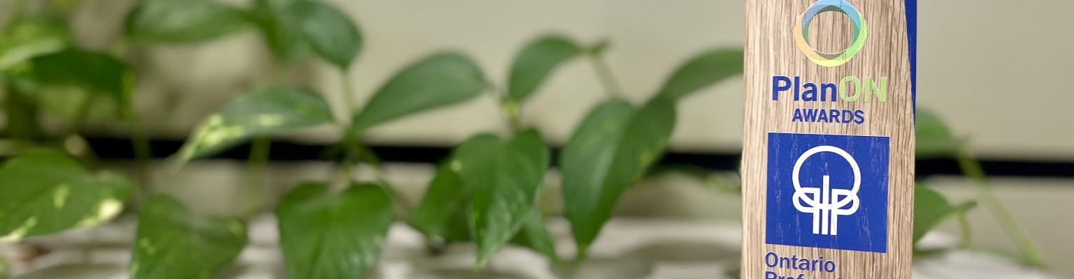 Clearview Township - PlanON Vision Award of Merit - 2024