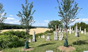 West Nottawasaga Cemetery