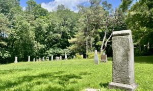 Dunedin Union Cemetery