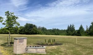 Scattering Garden