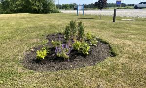 Scattering Garden