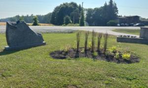 Scattering Garden - May 2025