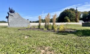 Scattering Garden