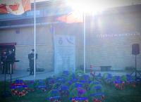 Stayner Cenotaph Remembrance Day
