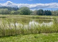 Nottawasaga Station Subdivision Stormwater Pond