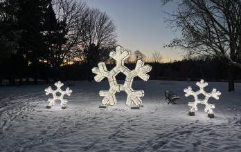 Rural Lights and Winter Nights